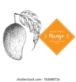 Mango Pencil Drawing Images Stock Photos Vectors Shutterstock