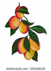 Mango Tropical Fruit Watercolor Illustration