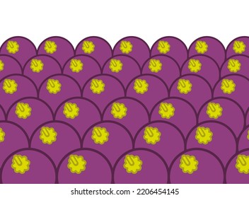 Mangosteen On Counter. Mangosteen On Market Showcase. Fruit Background. Cartoon Style 