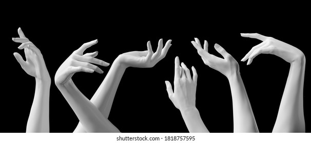 Mannequin Hands Set, Isolated Female Hand White Sculptures Elegant Gestures Isolated 3d Rendering Concept