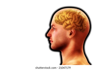 Mans head for thought and medical concepts. - Shutterstock ID 21047179
