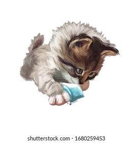 Manx Kitten Digital Art Illustration. Domestic Animal, Manks Cat Watercolor Portrait Of Playful Kitten, Felis Catus Originated From Isle Of Man. Face And Body Of Cute Mammal With Paws And Furry Coat