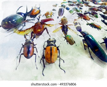 Many Insects Bugs  / Watercolor  Painting Photo Effect  