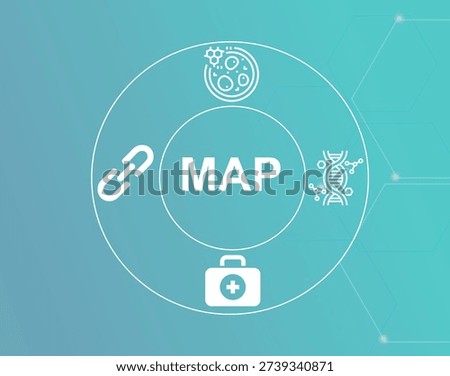 MAP acronym.MAP (Membrane Associated Protein) regulates cellular signaling and structure.