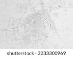 Map of the streets of Shreveport (Louisiana, USA) on white background. Top flat view. 3d render, illustration