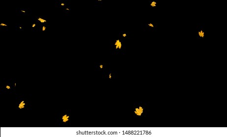 Maple Leaves Falling with alpha. 3D rendering.Easy to use and change color.This work have alpha.You can place on footage or background.
