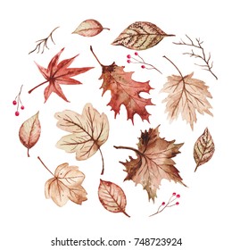 Maple leaves with red cherry watercolor wreath welcome Autumn season beautiful nature day