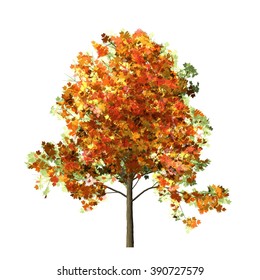 Maple Tree Isolated On White Background Stock Illustration 390727579 ...