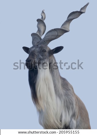 Marcher or marcher male, majestic mountain goat on the blue sky background. Animal alpinist with awful screw horns. Expressive portrait of wild great buck. Amazing illustration in oil painting style. Foto stock © 