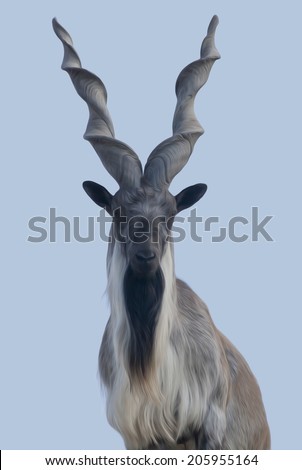 Marcher or marcher male, majestic mountain goat on the blue sky background. Excellent animal alpinist with awful screw horns. Wild beauty of the great buck. Amazing illustration in oil painting style. Foto stock © 