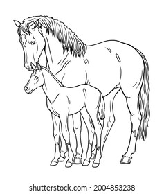 4,153 Foal drawing Images, Stock Photos & Vectors | Shutterstock