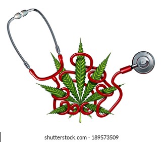 Marijuana Health Care Challenges Concept As A Doctor Stethoscope Tangled In A Cannabis Leaf As A Crisis Metaphor For Alternative Therapy Confusion As Natural Herbal Drug Use And Changing Medical Law.