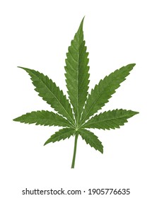 Marijuana Leaf 3D illustration on white background