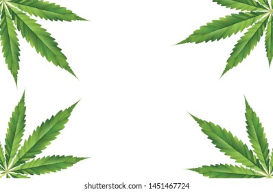Marijuana Field Images, Stock Photos & Vectors | Shutterstock