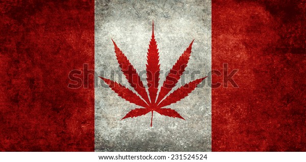 カナダ国旗の楓の葉に代わるマリファナの葉 ダーティビンテージ版 のイラスト素材
