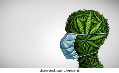 Marijuana medicine concept and cannabis medication as a human face made of weed leaves wearing a surgical mask as a symbol for medicinal treatment of disease in a 3D illustration style.