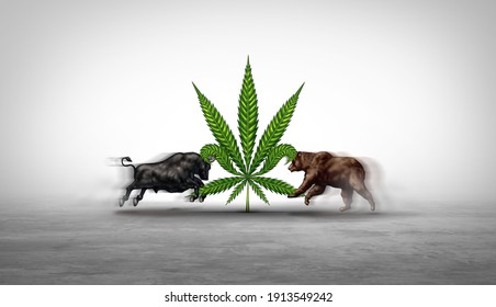 Marijuana Stocks And Investing In Cannabis Stock As A Business Selling And Buying Pot And Weed Equity On The Stock Market With A Bear And Bull Creating Financial Pressure In A 3D Illustration Style.