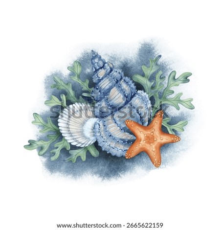 Marine composition with shells, starfish and algae on the background of a watercolor spot. Illustration for posters, stickers, and prints.