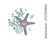 A marine composition with a starfish, seashell, algae and bubbles. Watercolor illustration for printing, posters, postcards.
