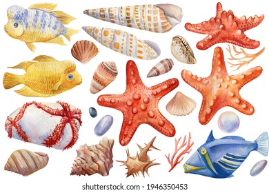 Marine Life. Seashells, Fish, Sea Cucumber, Starfish On An Isolated White Background, Watercolor Illustration