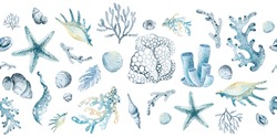  Marine Seamless Border Of Underwater Marine Animals, Corals, Plants, Shells. Marine Inhabitants Of The Underwater World. Marine Border On White Background