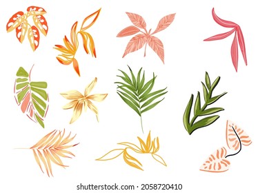 Markers Nature Flowers Watercolor Leaves Handmade Botanical Set Manual Illustration Gouache Palm Leaves