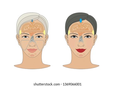 Markers Of Reflexology Zones. Projection Of The Internal Organs On The Face Of A Woman. Isolated On White Background