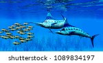 Marlin and Bocaccio Rockfish 3D illustration - Predatory Blue Marlin fish hunt a school of Bocaccio Rockfish over a kelp bed on the ocean floor.