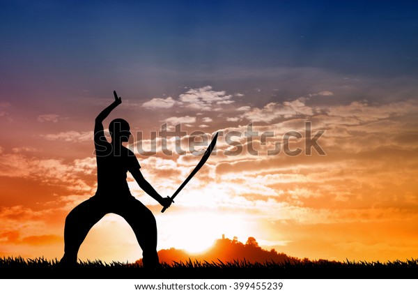 Martial Art Silhouette Sunset Stock Illustration 399455239