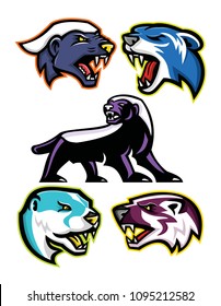 Mascot icon illustration set of fossorial carnivores like the honey badger or the ratel, polecat or weasel, the North American river otter or common otter and the American badger in retro style.