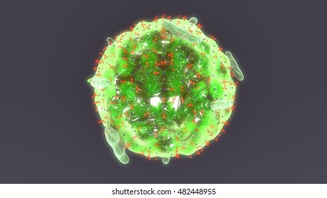 Mast Cell 3d Illustration