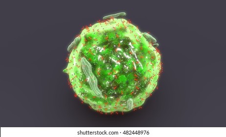 Mast Cell 3d Illustration