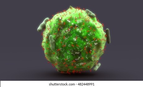 Mast Cell 3d Illustration