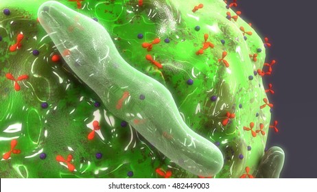 Mast Cell 3d Illustration