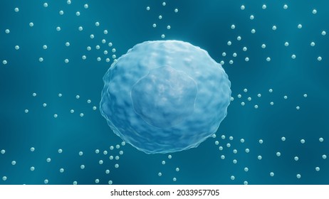 Mast Cell Releasing Histamine, 3d Illustration