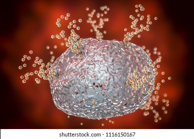 Mast Cell Releasing Histamine During Allergic Response, 3D Illustration