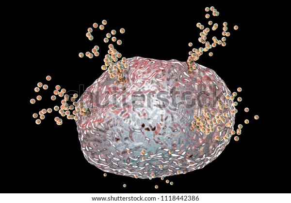 Mast cell releasing histamine during\
allergic response, 3D\
illustration