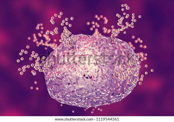 Mast cell releasing histamine during\
allergic response, 3D\
illustration
