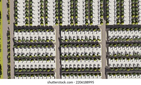 Master Plan Of Housing Community, 3d Illustration