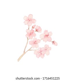 桜 手書き のイラスト素材 画像 ベクター画像 Shutterstock