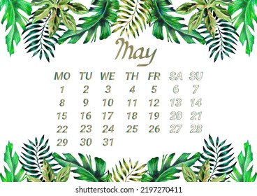 May: 2023 Calendar Template with Exotic Tropical Leaves. Calendar page for 2023 with a horizontal frame of watercolor  leaves. Tropical hand-drawn decorative Botanical elements, diary page design. - Powered by Shutterstock