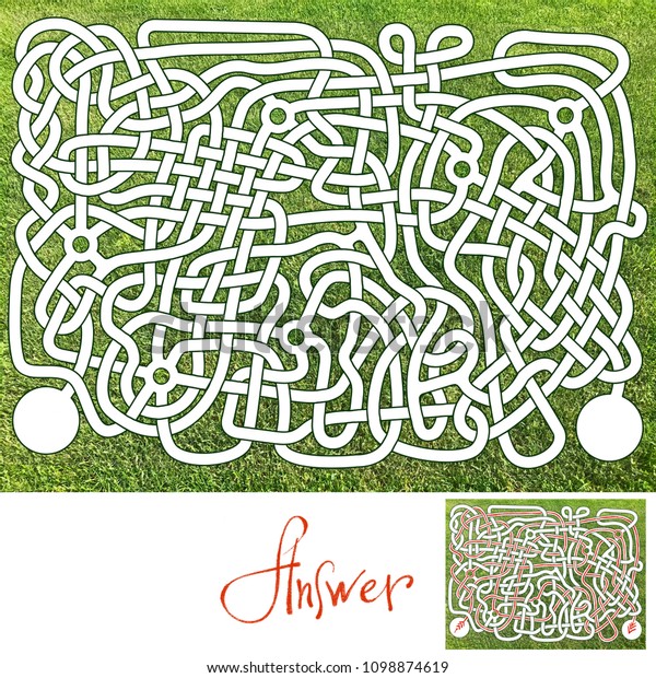 Maze on a green background. White paths in the\
grass. One entrance to the labyrinth and one exit. White field at\
the entrance and exit, where you can add characters. There is an\
answer to the\
riddle.