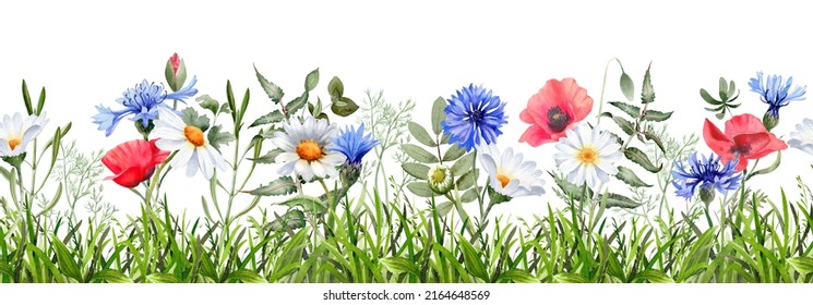 Meadow flower seamless border. Daisy, poppies, cornflower, grass and branches. Watercolor illustration isolated on white background