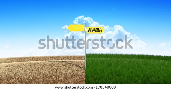 Meadow Symmetrically Cut Split By Wooden Stock Illustration 178548008