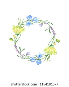 Forgetmenot Set Wild Blue Flowers Drawn Stock Illustration 429825244 ...