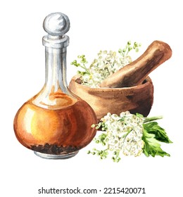 Meadowsweet Or Spiraea Ulmaria Homemade Tincture, Medical Herb, Plant And Flower.  Hand Drawn Watercolor  Illustration, Isolated On White Background