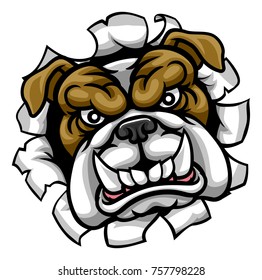 A Mean Bulldog Dog Angry Animal Sports Mascot Cartoon Character Breaking Through The Background