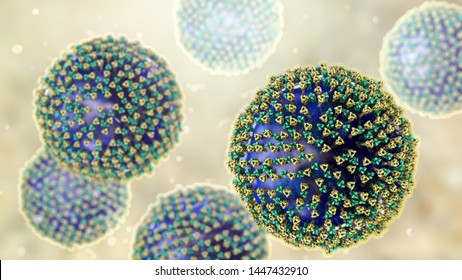 Measles Viruses. 3D Illustration Showing Structure Of Measles Virus With Surface Glycoprotein Spikes Heamagglutinin-neuraminidase And Fusion Protein