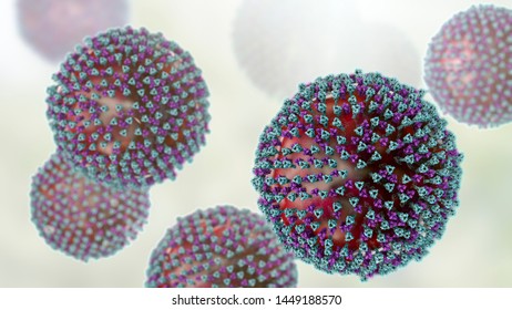 Measles Viruses. 3D Illustration Showing Structure Of Measles Virus With Surface Glycoprotein Spikes Heamagglutinin-neuraminidase And Fusion Protein