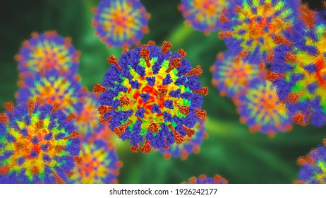 Measles Viruses, 3D Illustration Showing Viral Surface Glycoprotein Spikes Heamagglutinin-neuraminidase (blue) And Fusion Protein (red)